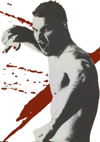 Rodrigo Gracie Pride Bushido 2