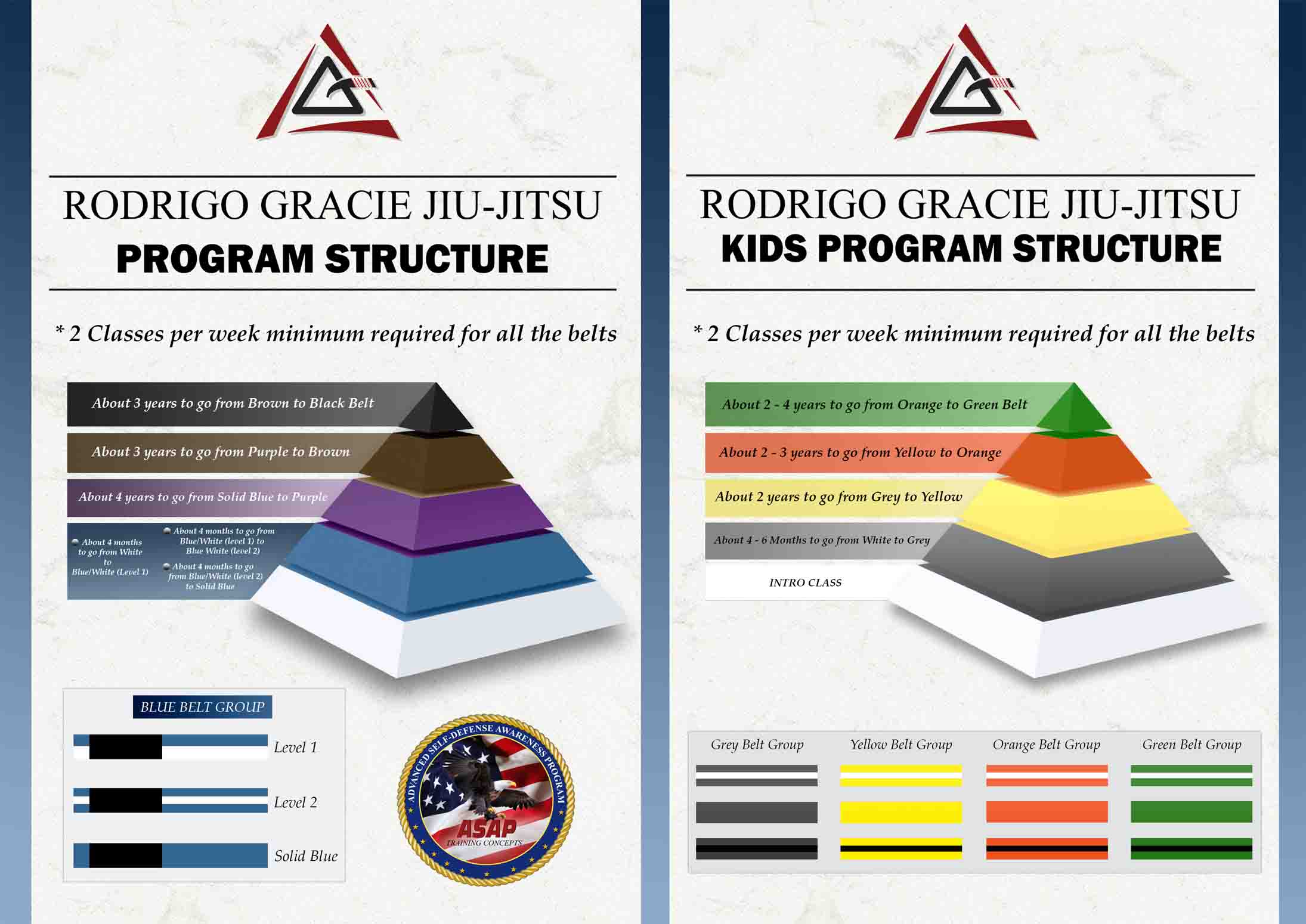 Structured BJJ Curriculum for Rodrigo Gracie Affiliates