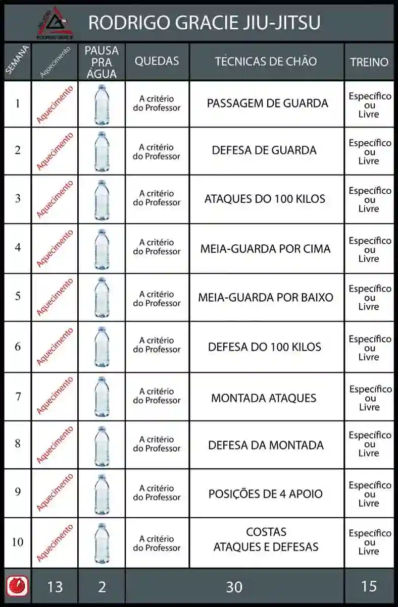 Currículo Estruturado Rodrigo Gracie jiu-jitsu