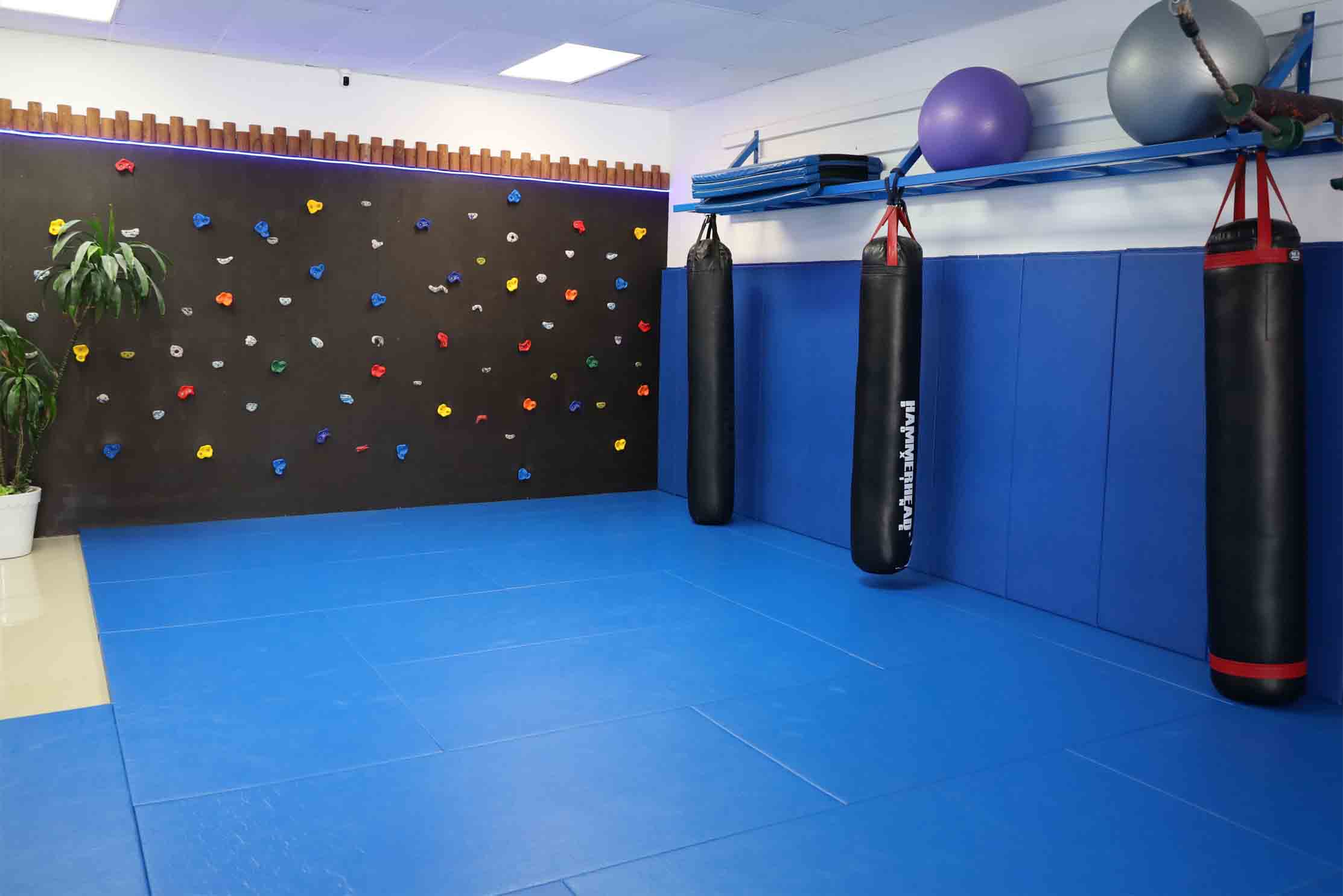 MMA Bags and Climbing Wall