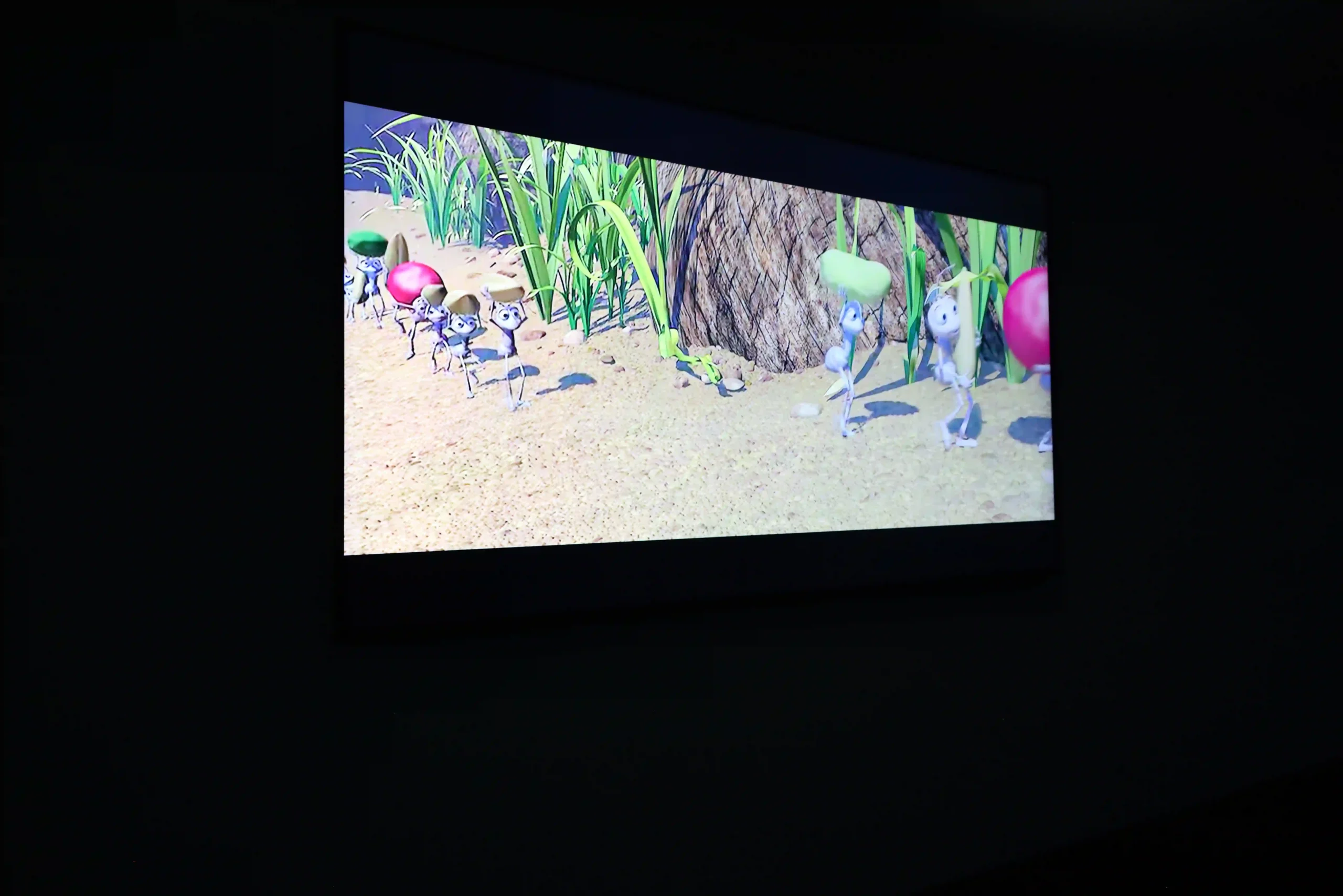 Junior Cinema Experience